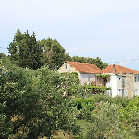 Apartmani Ivankovic Vrisnik Kültér fotó
