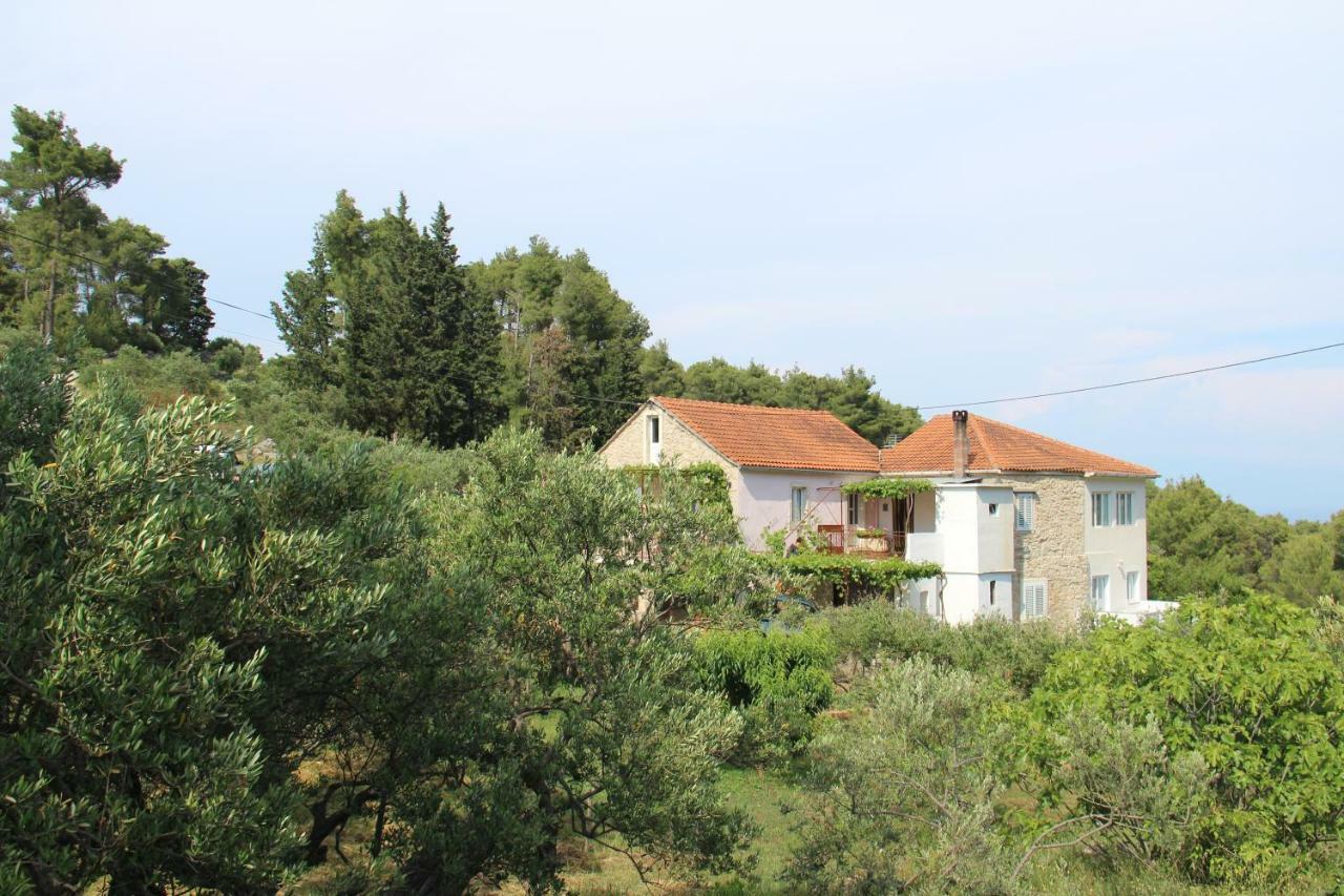 Apartmani Ivankovic Vrisnik Kültér fotó