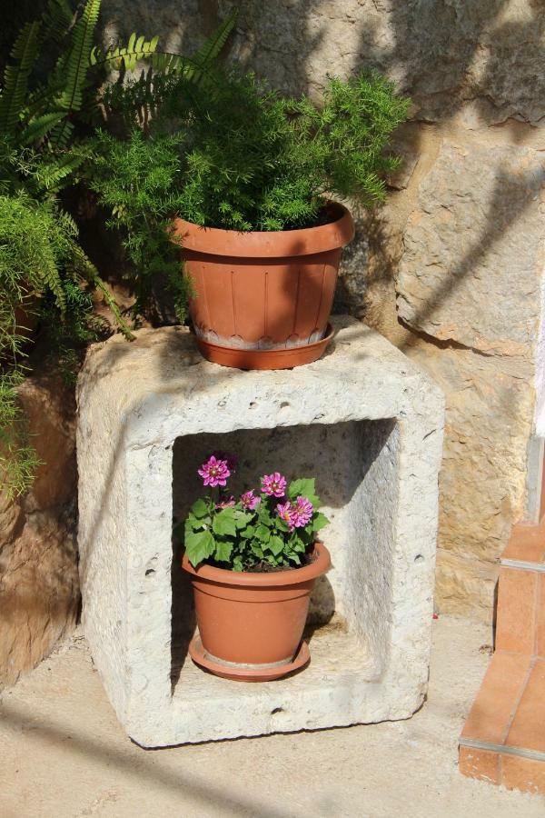 Apartmani Ivankovic Vrisnik Kültér fotó